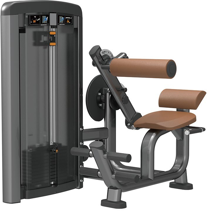 SN0809 Back & Abdominal Machine
